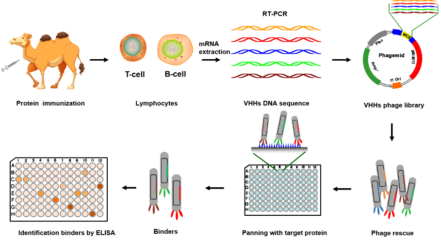 1673502157203715.png 1673502157203715.png